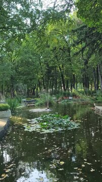 Scenic view of a small artesian water fountain in a pond surrounded by lush green trees and shady walkways in historic Copou Park, Iași.