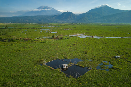 Aerial view of Kesongo marshland featuring traditional fish farming cages amidst lush green wetlands with mountains in the background in Tuntang, Central Java, Indonesia.