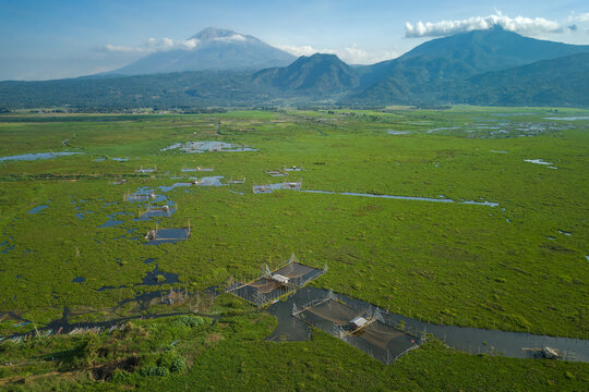 Aerial view of Kesongo marshlands featuring traditional fish farming nets and wooden structures amidst lush green vegetation with mountains in the background in Tuntang, Central Java, Indonesia.