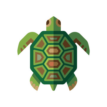 Stylized flat design illustration of a green sea turtle with a geometric patterned shell seen from a top-down view.