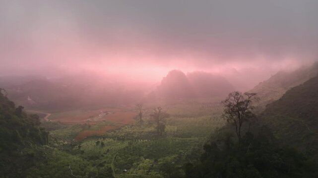 Atmospheric view of a lush mountain valley covered in soft pink morning mist, with layered hills, forested slopes, and a tranquil natural landscape.