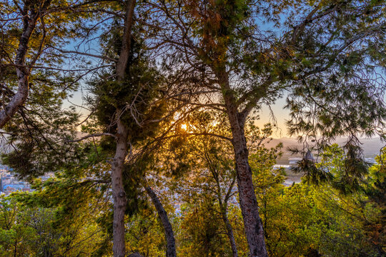 Atardecer