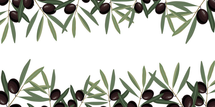black olives branch frame border isolated on white background, vector organic food design element for olive oil label and banner