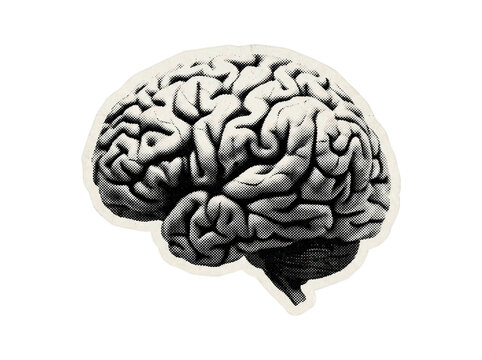 Monochrome halftone human brain illustration with vintage print texture on a transparent background