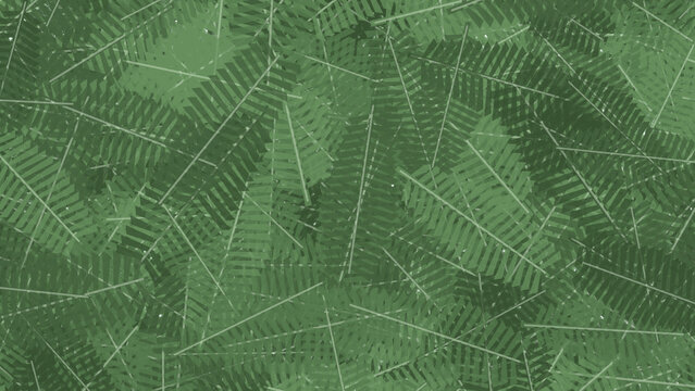 Procedural art of Winter Evergreen style of cedar leaves background