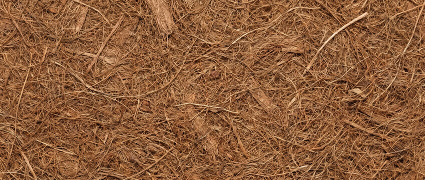 Brown coconut coir fiber texture background. Close up of natural organic husk fibers