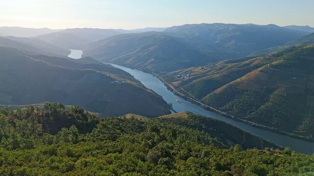 Drone view of a tourist boat on the Douro River in Douro Valley, Portugal, with vineyards and a river bend in morning light. Push in approach dolly shot