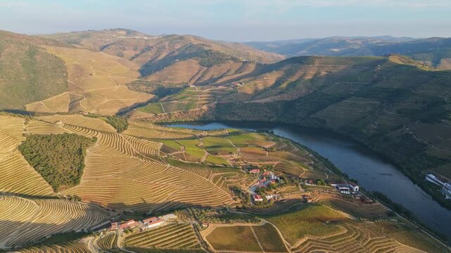 Drone view of Douro Valley vineyards and the Douro River in Portugal with sunset haze and warm terraced hills. Orbit parallax shot