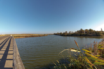 Fototapeta premium Lagoa Natural dos Salgados, Alcantarilha e Pera, Algarve