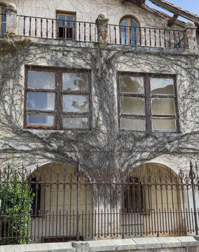 Old abandoned facade covered with dense dry vines, with weathered windows, an iron balcony and a wrought iron fence.