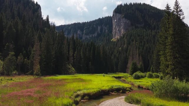 Mountain Stream Crossing a Meadow Below Zanoaga Cliff