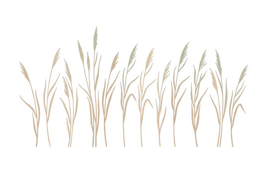 Ilustra&ccedil;&atilde;o minimalista de capim seco em tons neutros