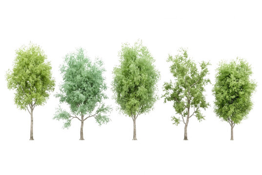 Conjunto de &aacute;rvores verdes isoladas em fundo branco