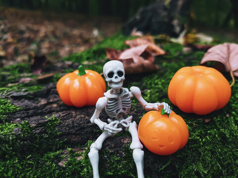 Spooky toy human skeleton figurine sits on fallen tree, orange pumpkins in woodland