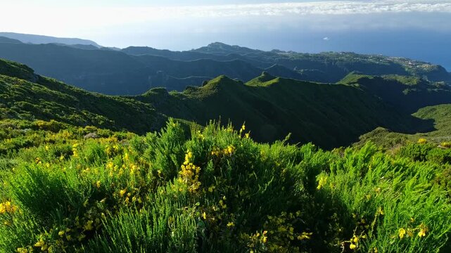 The hiking trail path leading to Pico Ruivo on Madeira Island in Portugal. The landscape features green hills and the ocean in the distance, highlighting the nature of the area