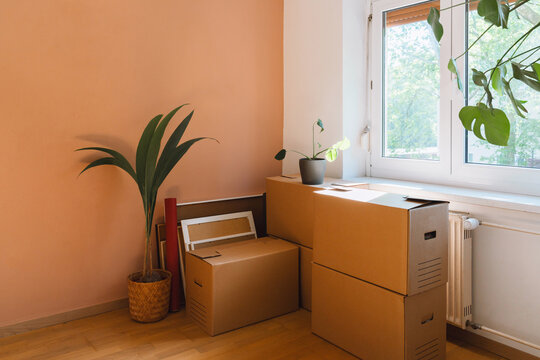Packed cardboard boxes and a vibrant green houseplant stand on the wooden floor of an otherwise empty room. Relocation and new home moving lifestyle concept.