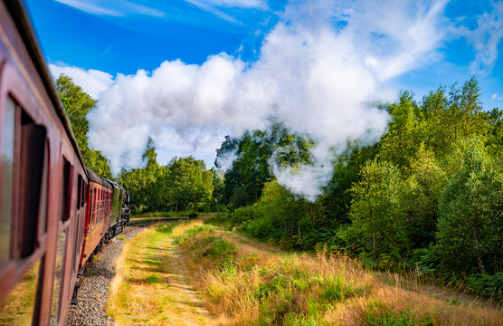 View from a carriage window as a historic steam train travels through lush woodland shortly before reaching Pickering in North Yorkshire, England.