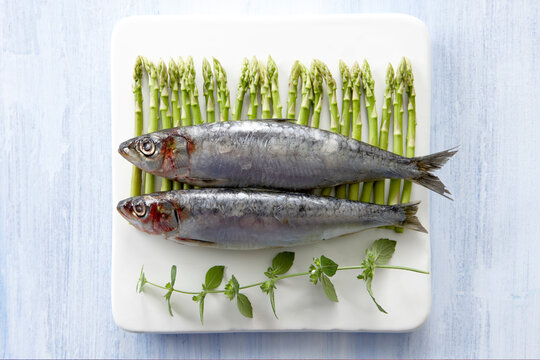 Sardines on platter with asparagus and herbs, elevated view