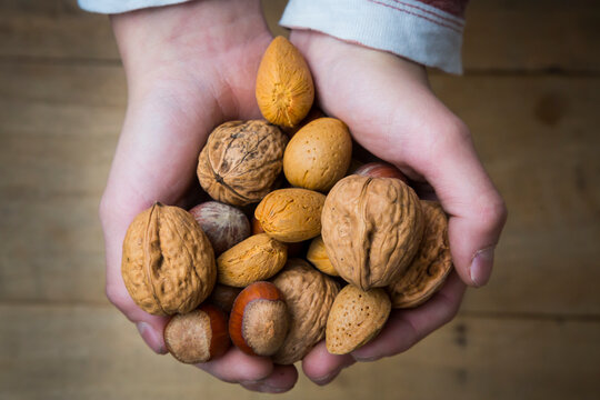 Girl's hands holding walnuts, almonds and hazelnuts