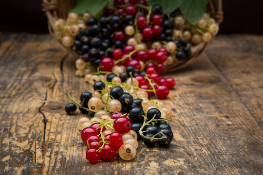 Black, red and white currants on dark wood