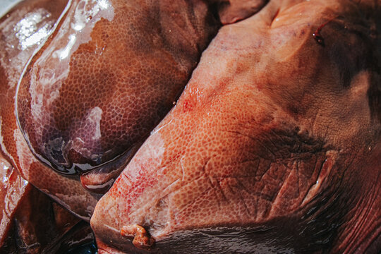 Close-up of large raw liver lobes with glossy reddish-brown surfaces, visible natural membrane, and detailed organ texture filling the frame.