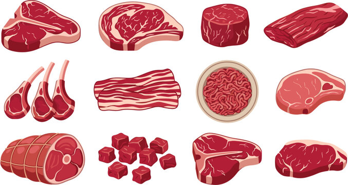 Raw Meat Cuts and Beef Steak Vector Illustration Set Featuring T-Bone, Ribeye, Tenderloin, Bacon Strips, Lamb Chops, Minced Meat, and Cubed Pork