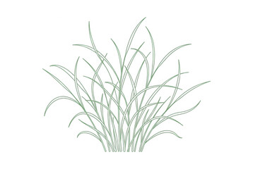 Fototapeta premium Minimalistische grüne Grasbüschel-Illustration