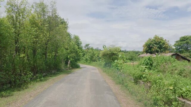 Scenic Green Road Through Sajek Valley Hills in Bangladesh