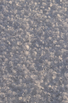 exture of fresh loose snow in sunlight close-up. Macro photography of clean snow surface, texture of white snow, winter abstract background, snowy surface with natural crystal structure. Winter
