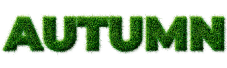 AUTUMN word rendered in realistic green grass texture typography isolated on transparent background © Mahmud