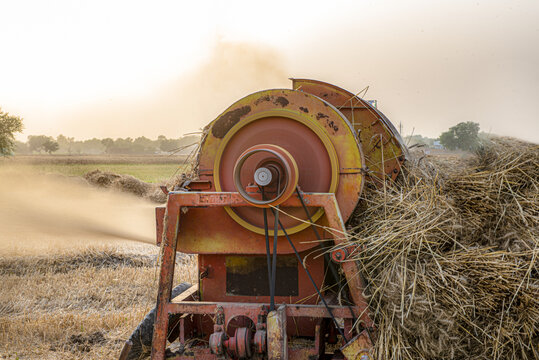 View of a wheat thresher machine separating grain from stalks and husks in a field during golden hour in Multan, Punjab, Pakistan.