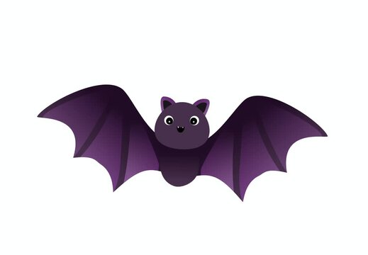 bat and bats flying animation
