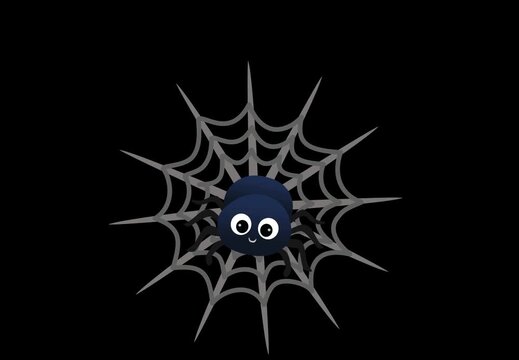 black spider on white background
