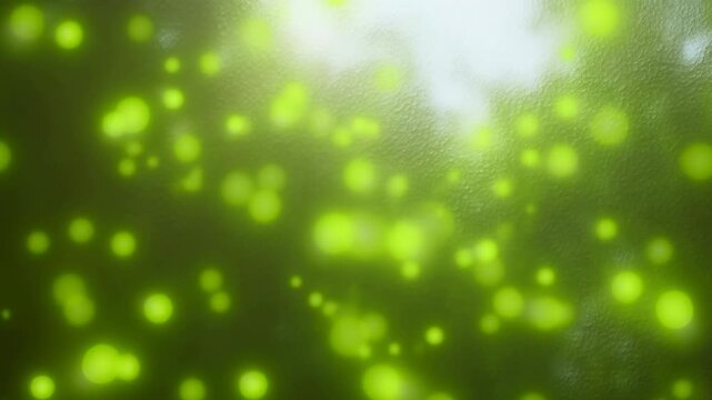 Glowing green bokeh circles drift across textured surface as soft points of light overlap and shift through shallow focus, creating luminous depth with bright highlights and dark green area