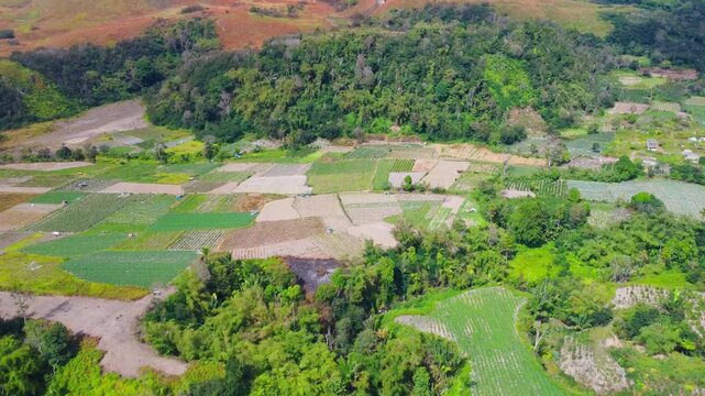 Aerial view of agricultural fields and lush vegetation near Mount Sinabung in Naman Teran, North Sumatra, Indonesia.