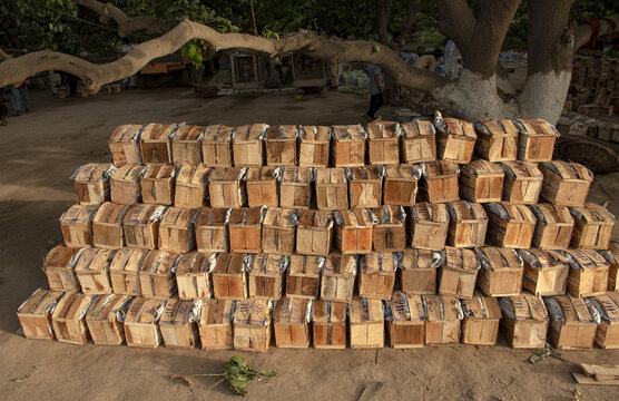 View of stacked wooden crates filled with fresh mangoes in an orchard with workers in the background in Multan, Punjab, Pakistan.