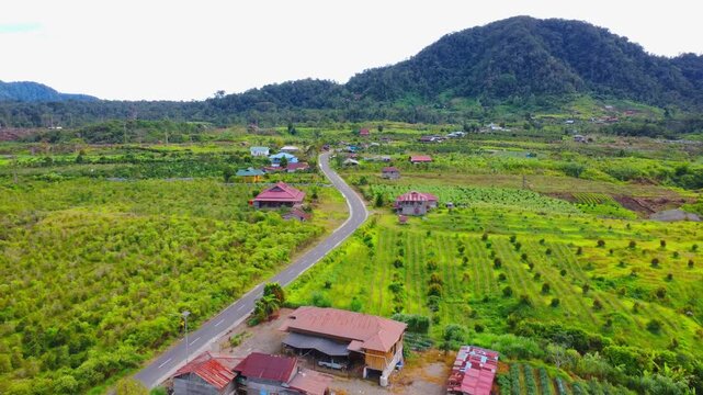 Aerial view of Mount Sinabung and rural landscape with a winding road, agricultural fields, and houses in Naman Teran, North Sumatra, Indonesia.