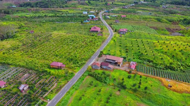 Aerial view of Mount Sinabung surroundings featuring a winding road through lush green agricultural fields and rural houses in Naman Teran, North Sumatra, Indonesia.