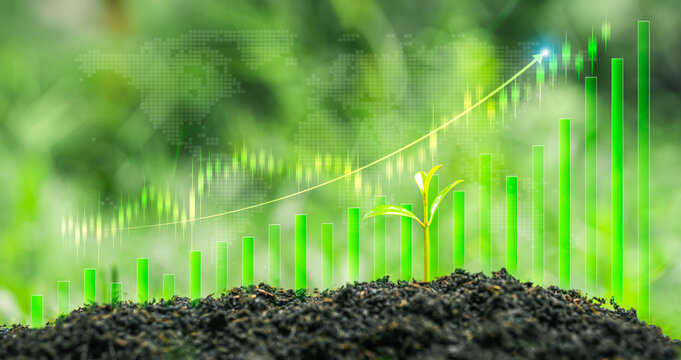 A conceptual image illustrating the growth of green business and ESG (Environmental, Social, and Governance) investment, featuring a seedling growing in fertile soil&mdash;symbolizing sustainable developmen
