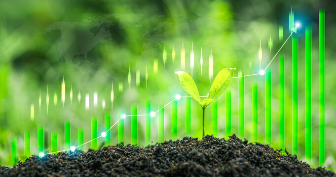 A conceptual image illustrating the growth of green business and environmentally friendly (ESG) investment: a seedling sprouting from the soil, symbolizing the growth of capital, finance, and investme