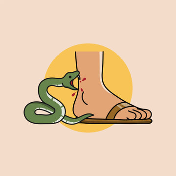 Flat vector illustration of a venomous green snake biting a human foot wearing a sandal. Concept of wild animal attack, outdoor danger, medical emergency, and first aid for snakebite.