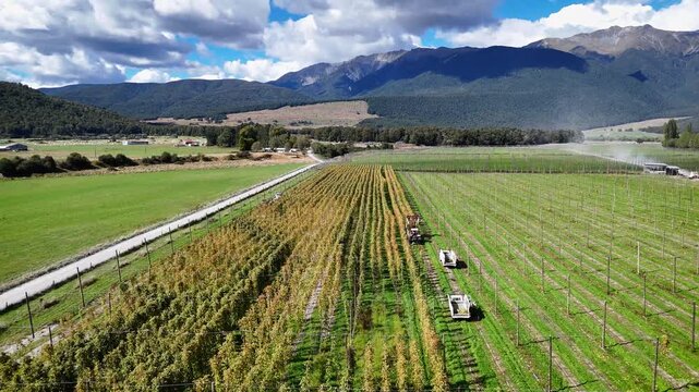 Aerial view of hop farm with rows of plants and machinery under a cloudy sky near mountains in Murchison, Tasman Region, New Zealand.