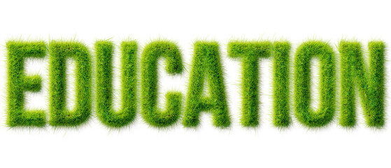 Education Word Written in Realistic Green Grass Texture Typography Isolated on Transparent © Mahmud