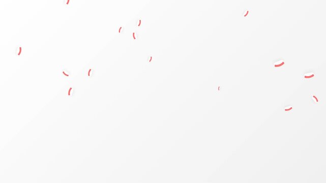 Fresh Assorted Sushi Motion Graphic