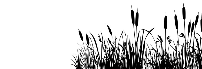 Fototapeta na wymiar Background of cattail reed silhouettes.