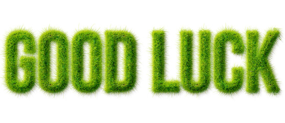 Good Luck text effect with realistic green grass texture isolated on a transparent background © Mahmud