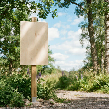 Blank wooden sign on a gravel woodland path with lupines and white trees