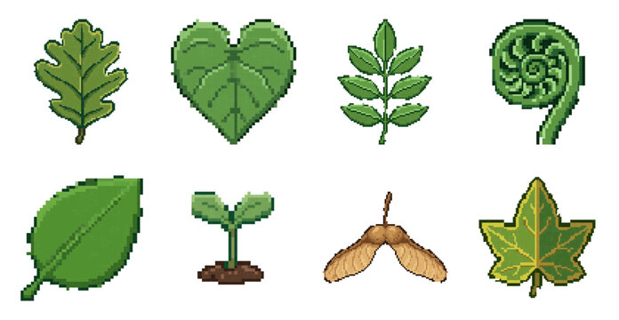 Pixel art vector illustration of various green leaves seedling and maple seeds