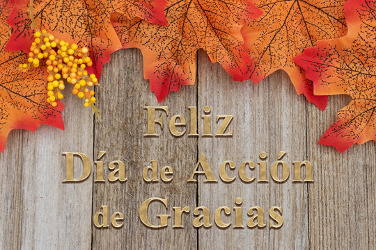 Fall leaves with a Happy Thanksgiving Feliz Dia de Accion de Gracias Spanish greeting card on weathered wood