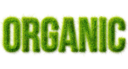 Organic word typography with realistic green grass texture isolated on a transparent background © Mahmud
